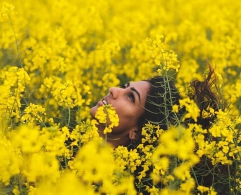 Canola Fields Cape Town - Where To find The Best Canola Fields