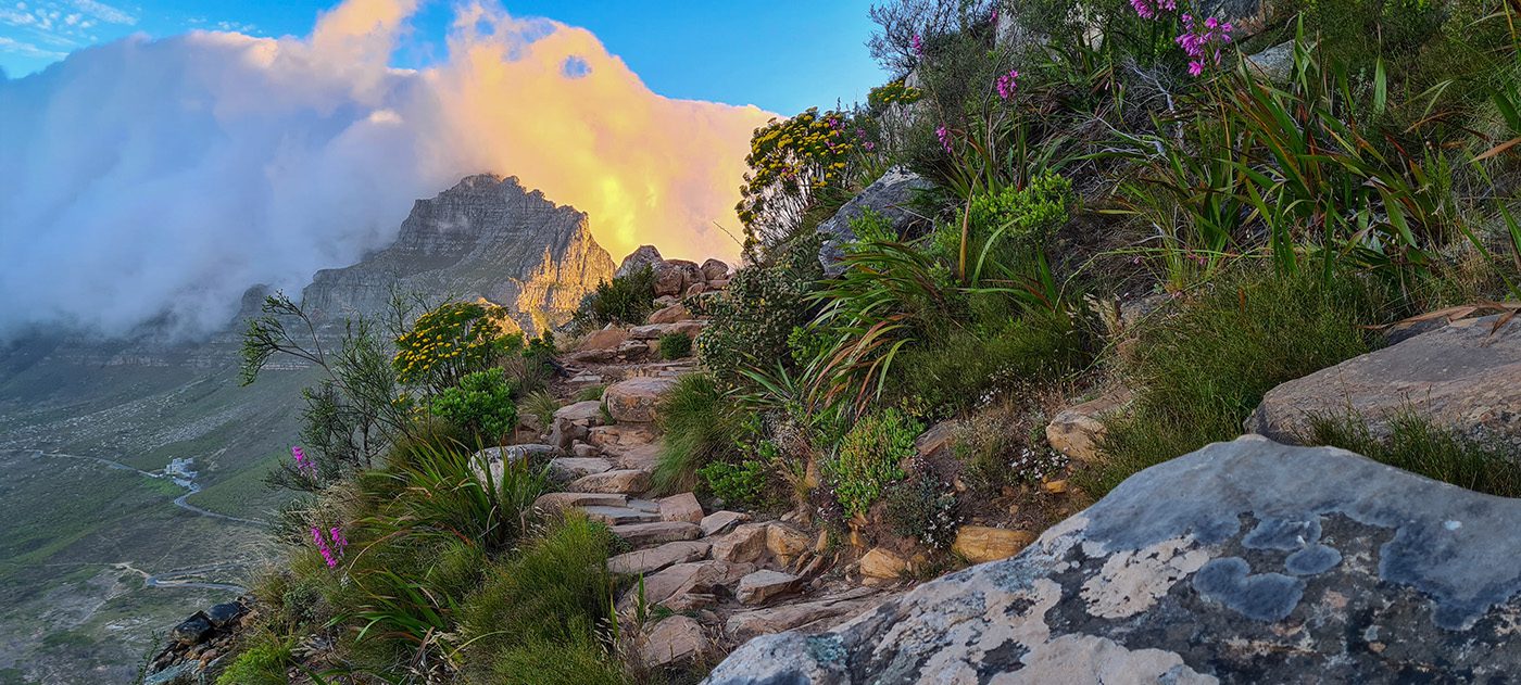 What To Do In Cape Town On Easter 2024 Secret Cape Town What To Do In Cape Town On Easter 2024 Secret Cape Town
