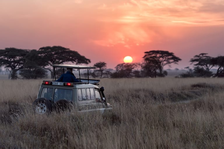 Kruger National Park versus Pilanesberg Game Reserve, Secret Cape Town