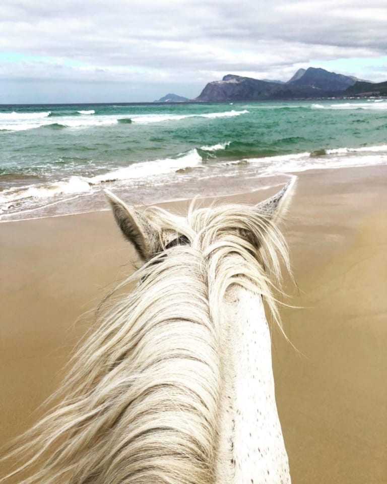 Equestrian-Centre-Overstrand-beach-horse-riding