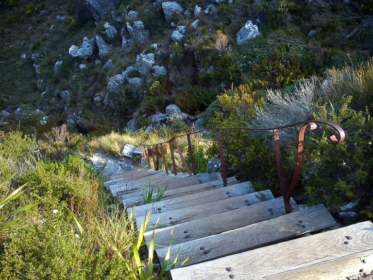 Nursery Ravine Hike Trail - Table Mountain - Secret Africa