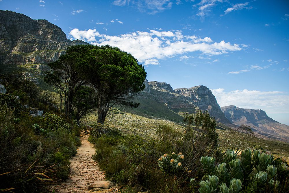 Pipe Track Hiking Trail