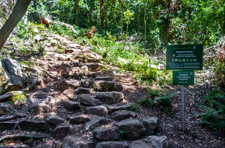 Woody Ravine hiking trail