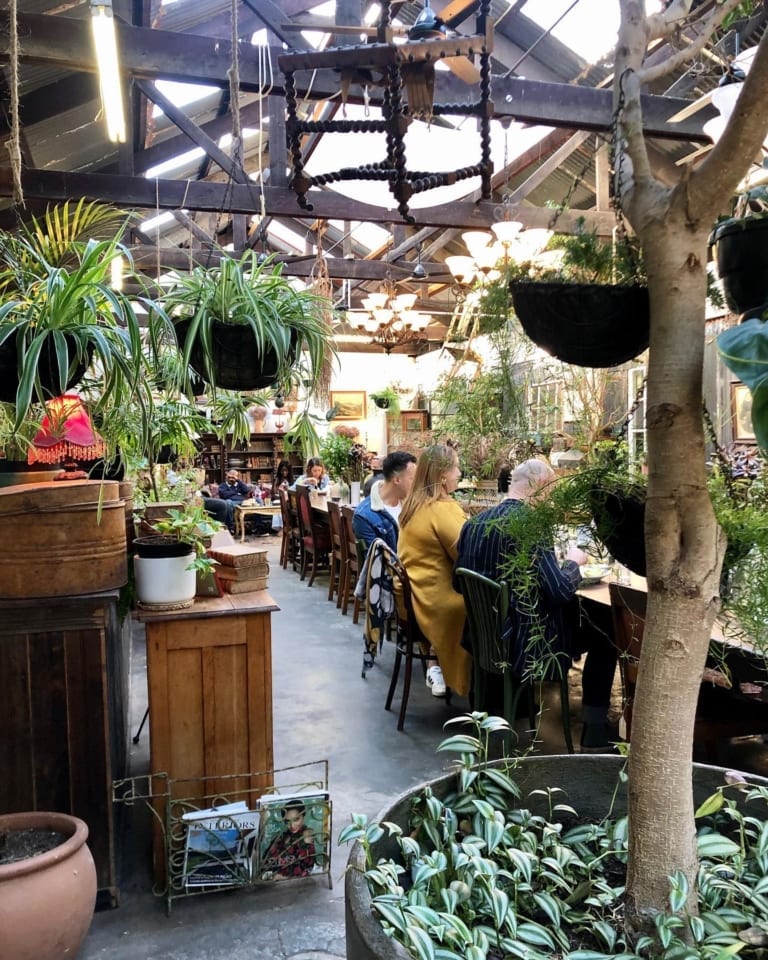 Best Cafés and Coffee Shops to work from in Cape Town