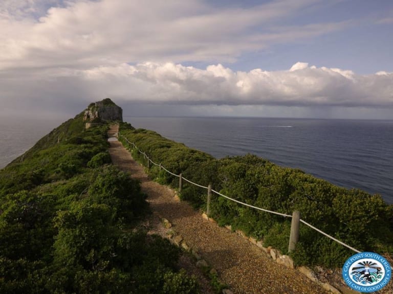 Best Cape Point hiking trails