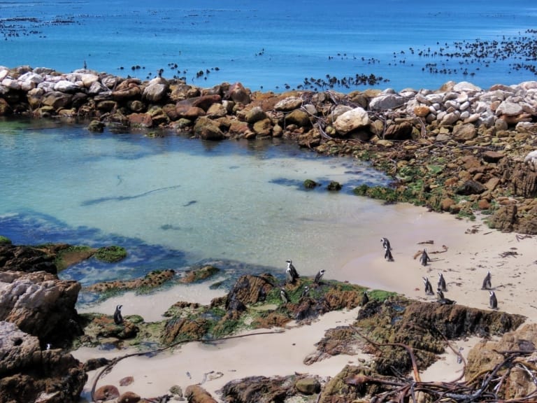 Stony Point Nature Reserve
