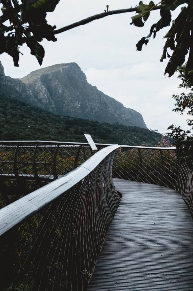 Top 5 reasons to visit Kirstenbosch Gardens