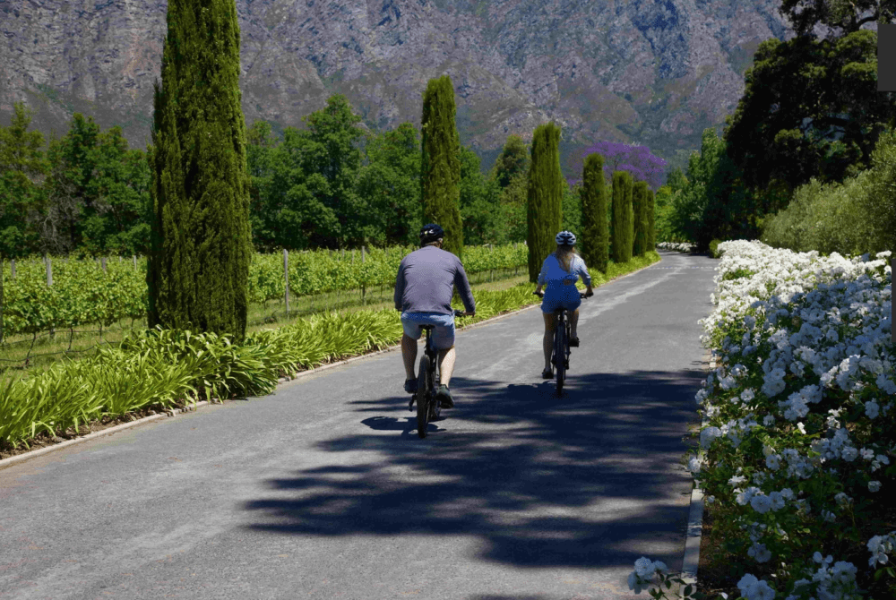 Cape Lion E-Rides - Secret Cape Town