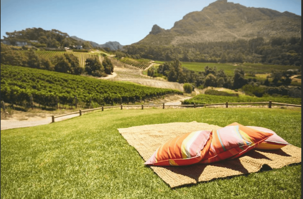 Cape Lion E-Rides - Secret Cape Town
