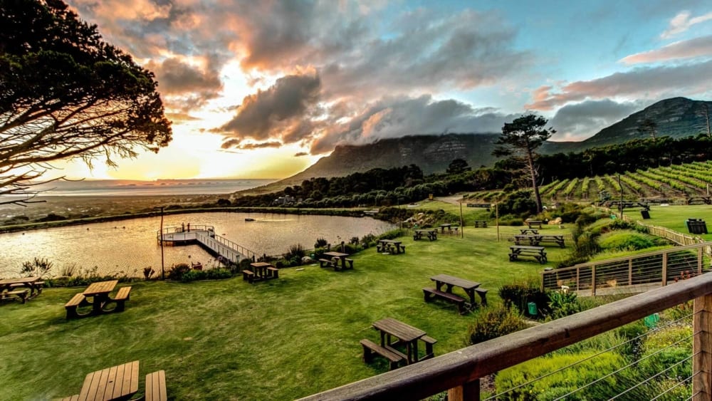 Cape Lion E-Rides - Secret Cape Town