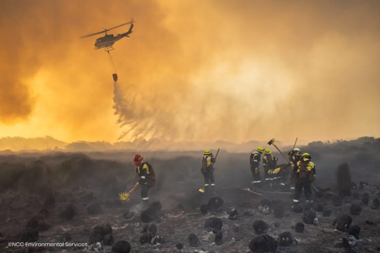 Juliet Crew - South Africa’s first all-female firefighting team
