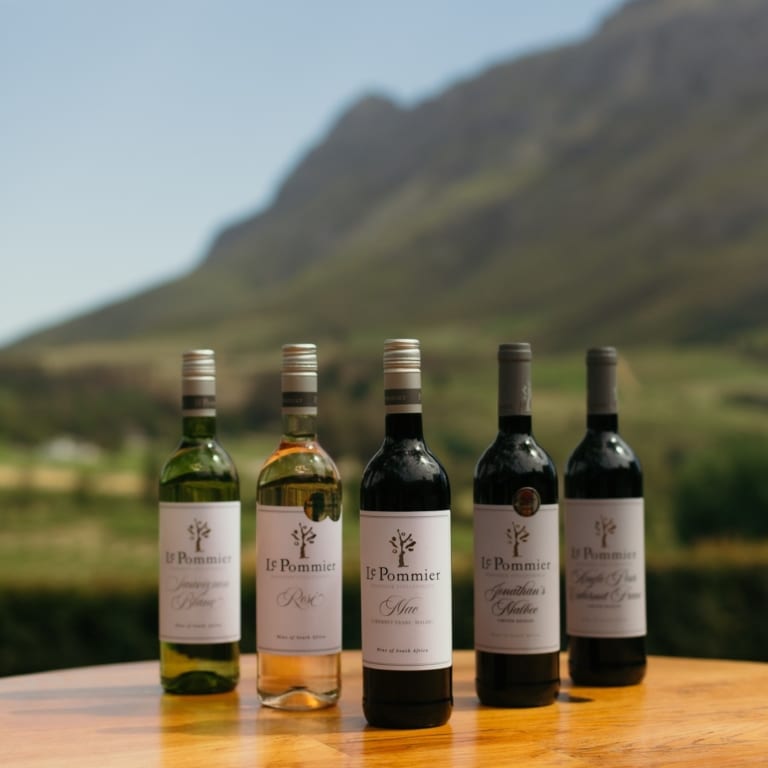 Lockdown Wine Specials in Cape Town