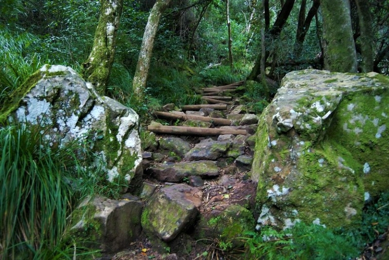 Skeleton Gorge Hike - Table Mountain - Skeleton Gorge Hiking Trail