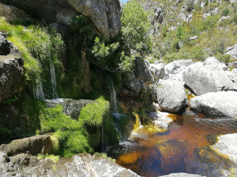 Things to do in Cape Town