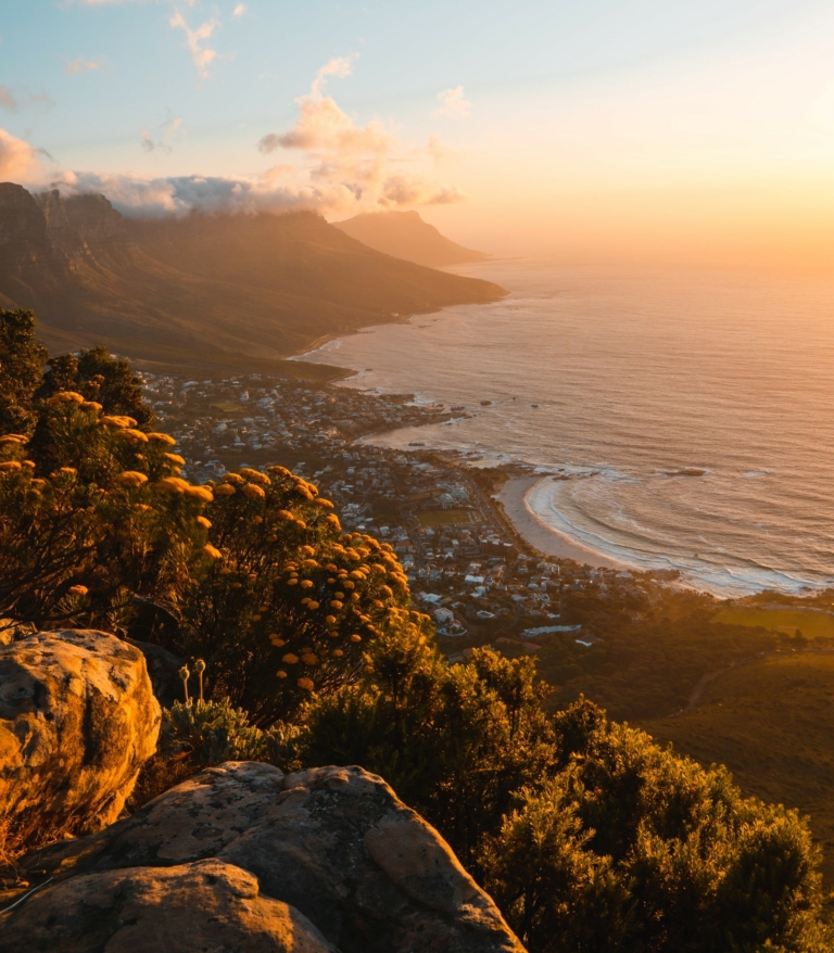 Top Things To Do In Cape Town In Winter