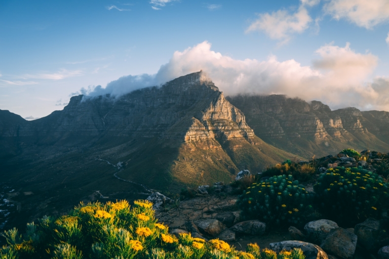 Things to do in Cape Town