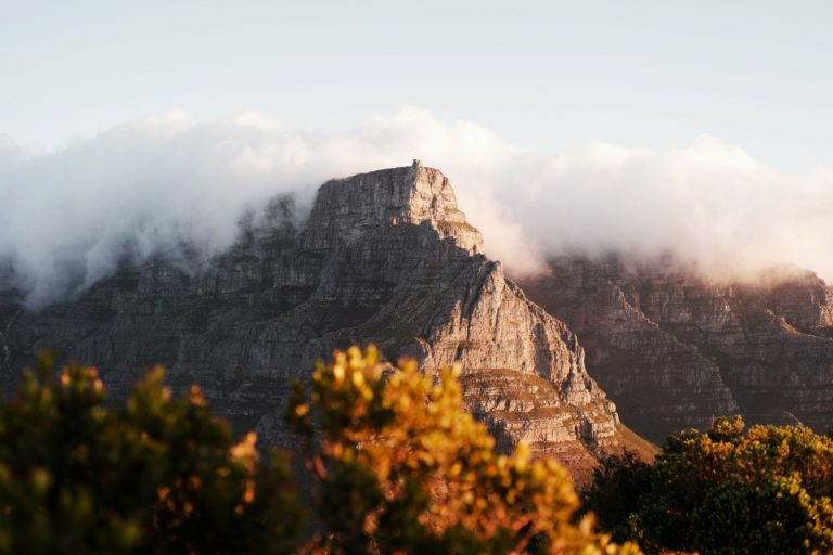 Cape Town Quirks