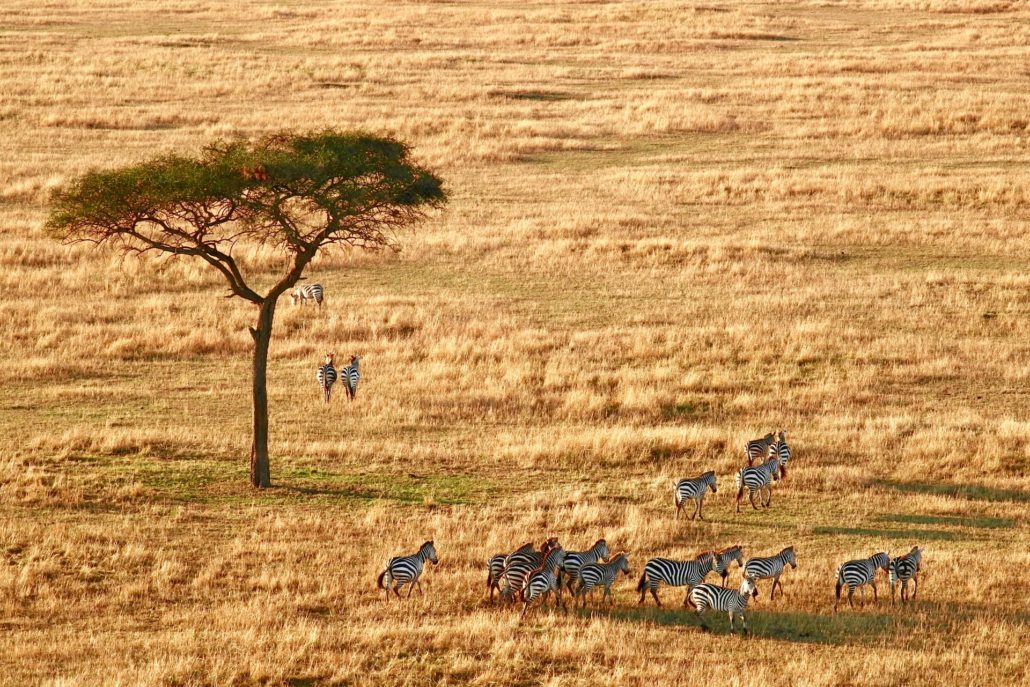 South Africa Greatest Country in the World