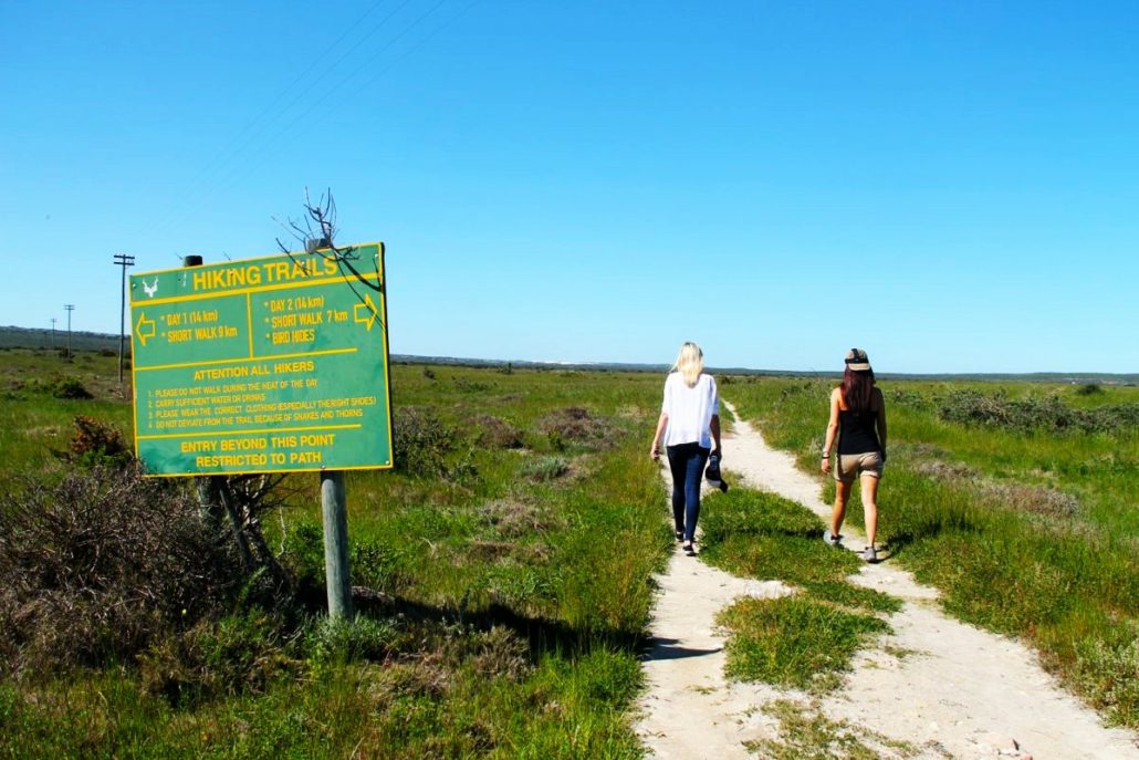 Top 5 Reasons to Visit the West Coast National Park - Secret Cape Town