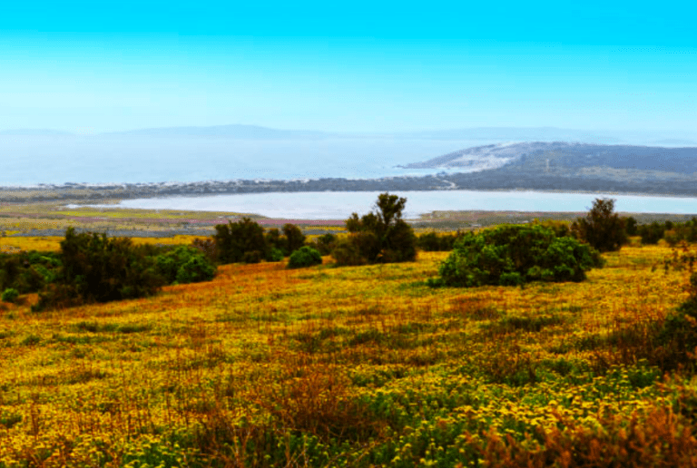 Top 5 Reasons to go to the West Coast National Park