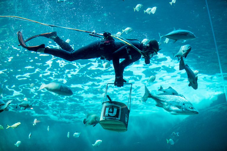 Best Family-Friendly Activities in Cape Town