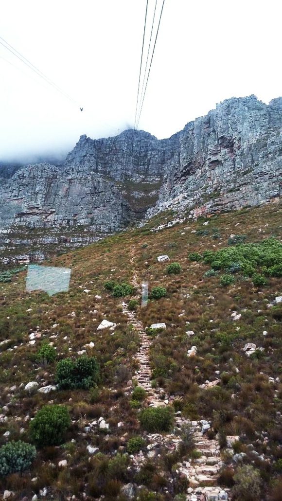 Hiking Table Mountain For The First Time