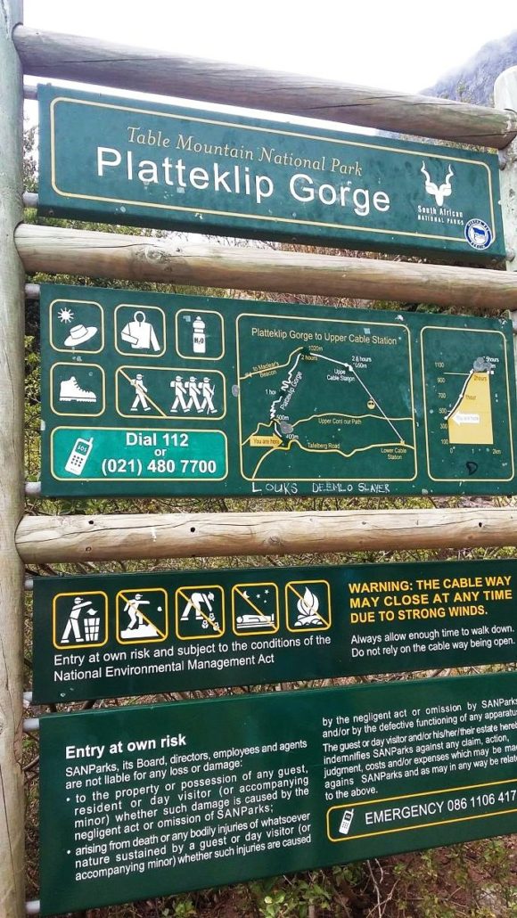 Hiking Table Mountain For The First Time