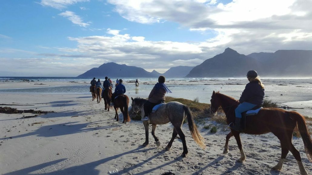 Cape Town activities for couples