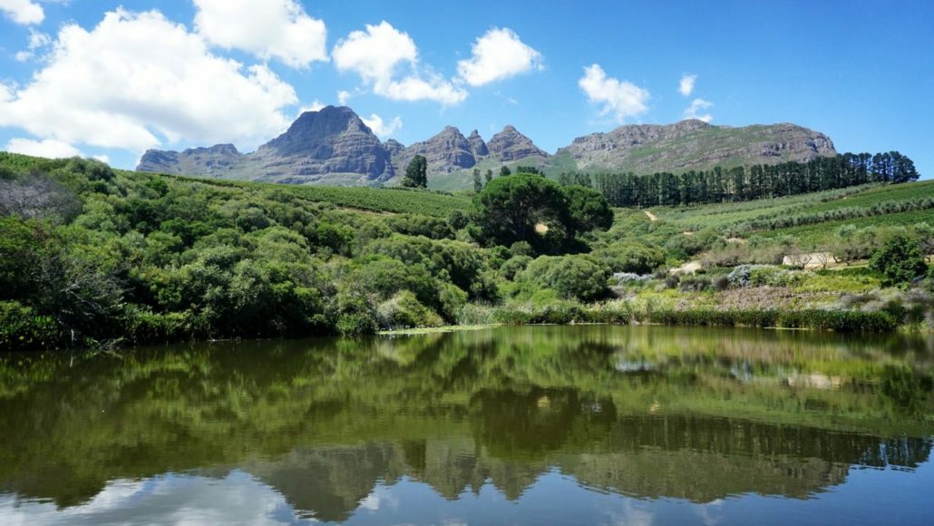 Cape Town To Kruger Tour - Cape winelands