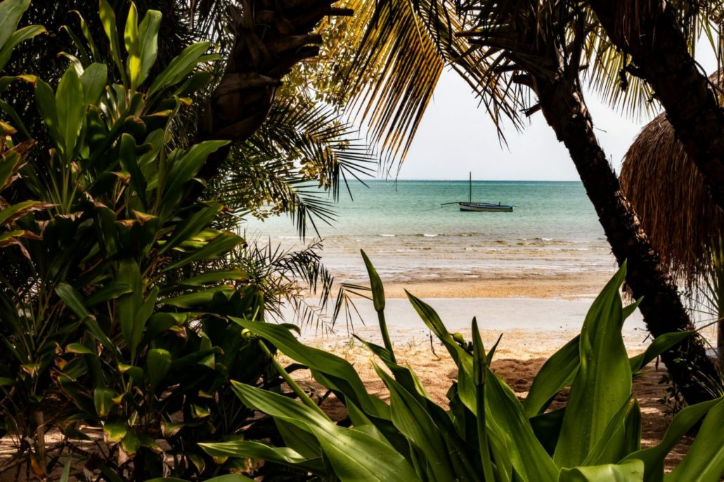 Cape Town, Kruger and Mozambique Tour