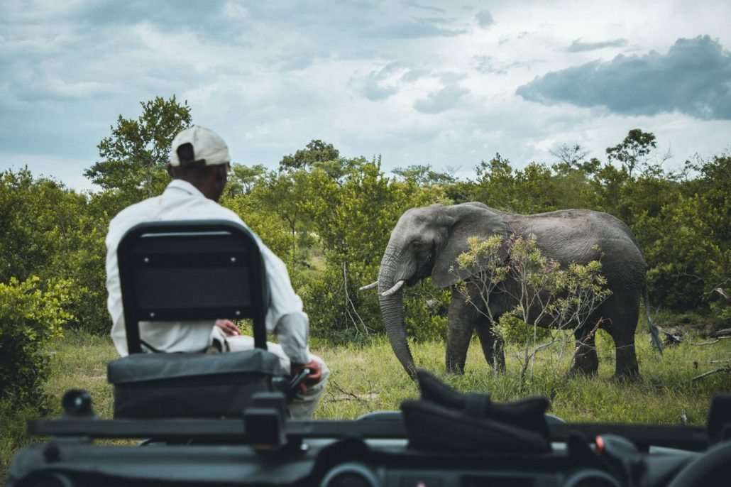 Cape Town To Kruger Tour - Kruger National Park