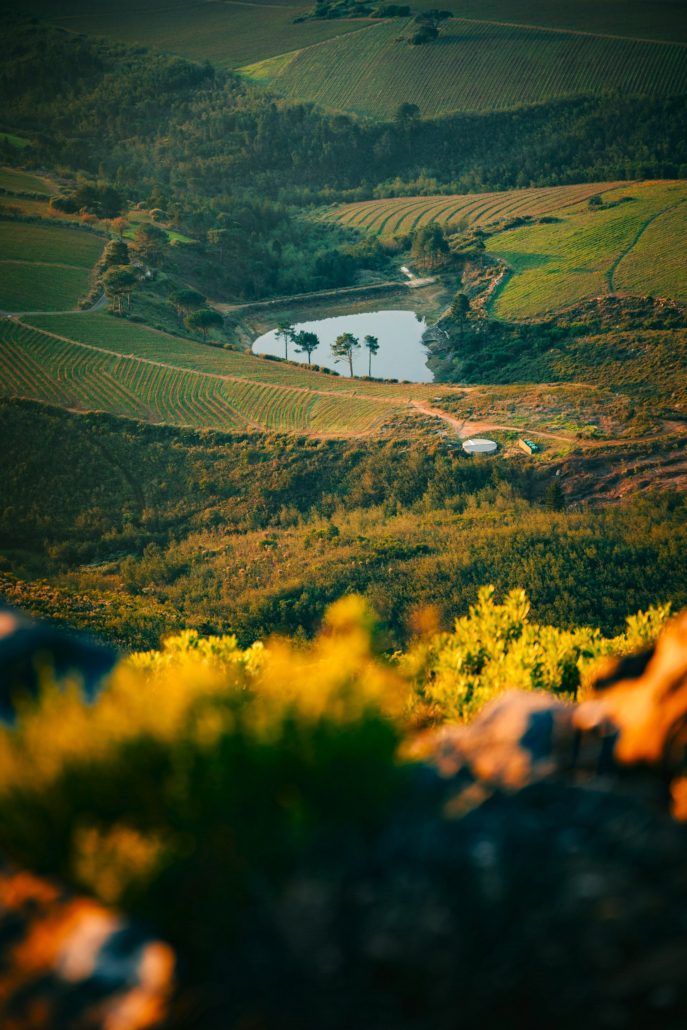 Things to do in Cape Town