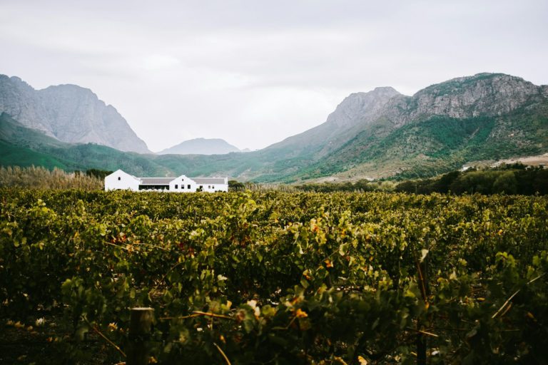 Top Things To Do In Franschhoek