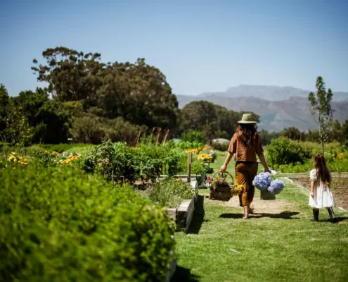 Top Things To Do On Mothers Day in Cape Town