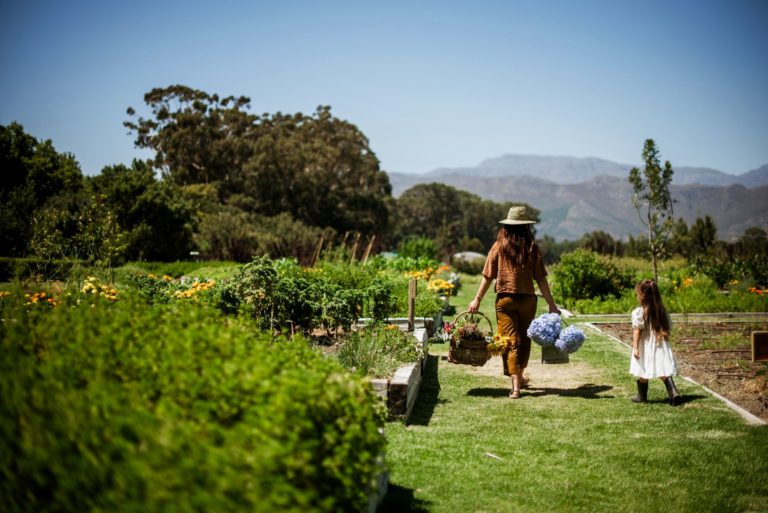 Top Things To Do On Mothers Day in Cape Town
