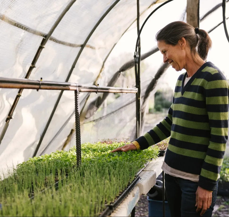 Oranjezicht City Farm Market | Things To Do In Cape Town This Weekend