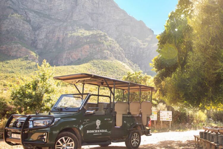 Wine & Wander Safari | Things To Do In Cape Town This Weekend