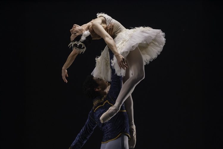 Velvet Feathers: Cape Town City Ballet at Norval Foundation | Things To Do In Cape Town This Weekend