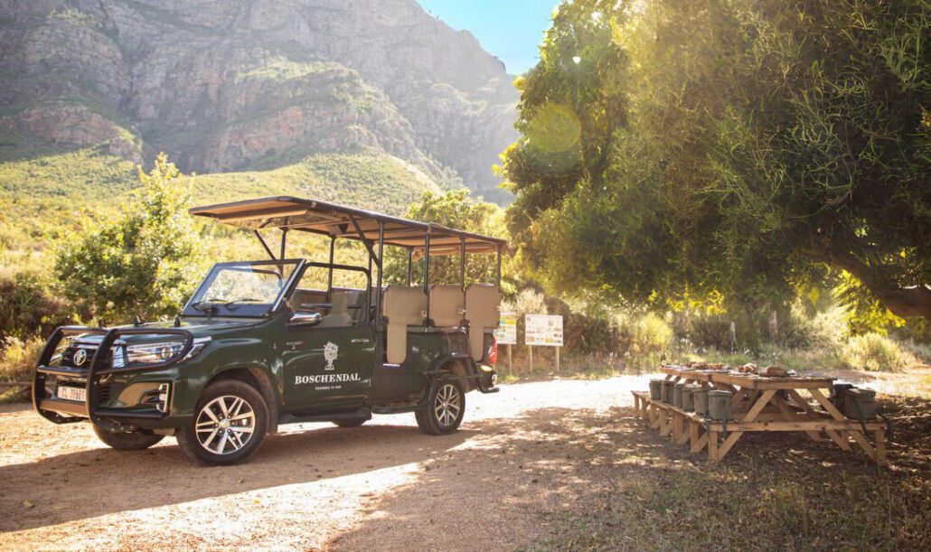 Wine & Wander Safari | Things To Do In Cape Town This Weekend