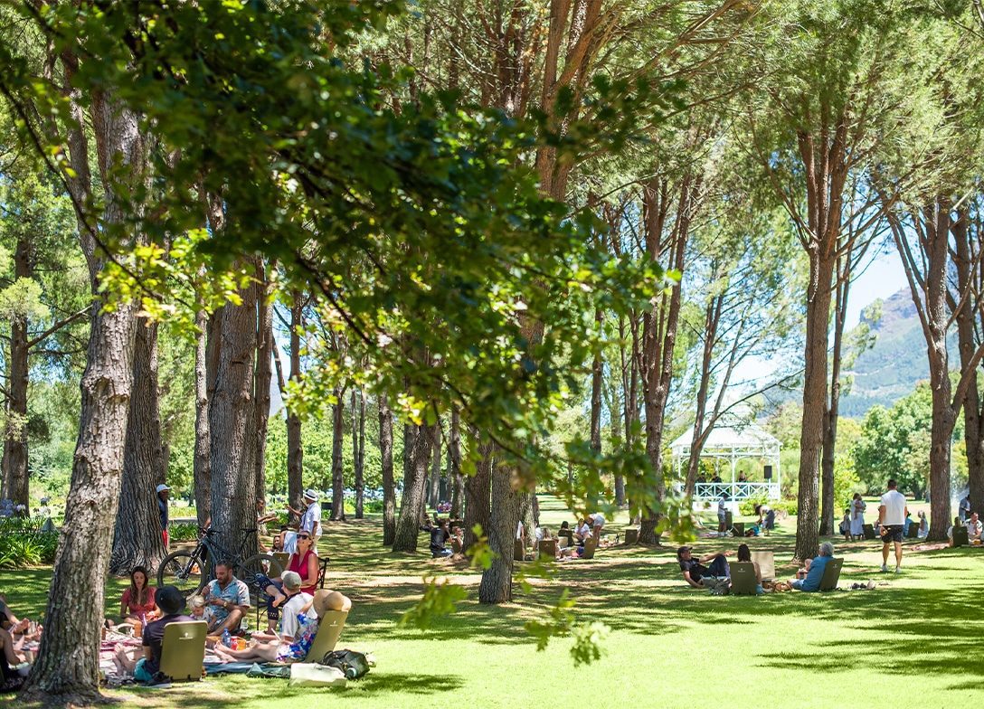 Werf Picnics Under The Oaks | Things To Do In Cape Town This Weekend
