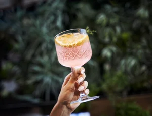 Thursday food specials in Cape Town - Hudsons Gardens