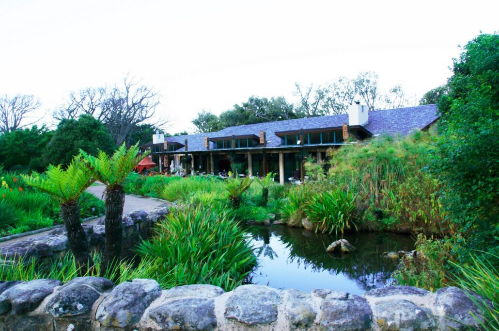 Tuesday food specials in Cape Town - Moyo Kirstenbosch