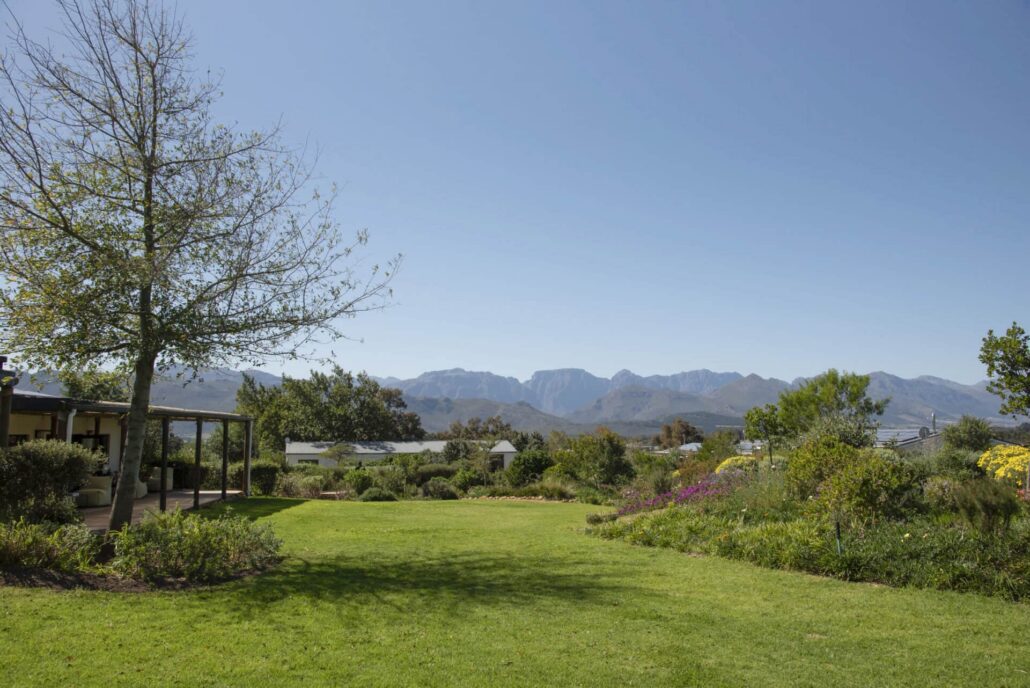Sunday food specials in Cape Town - Arum